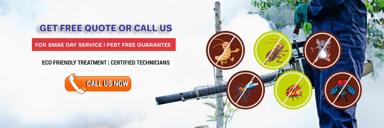 Pest Control Services in Kashipur