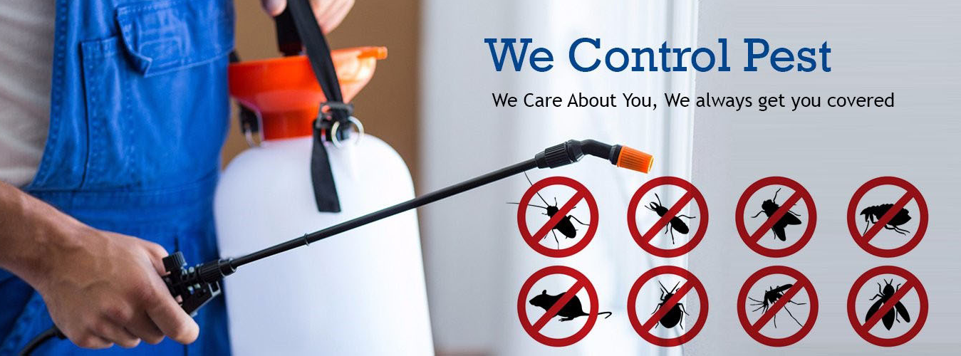Top Pest Control Services in Kashipur