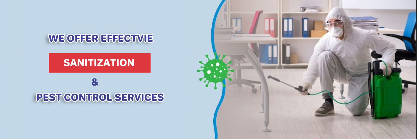 Best Pest Control Services in Kashipur